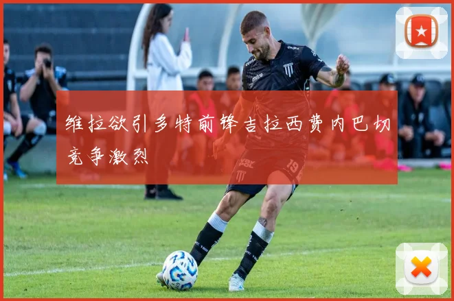 维拉欲引多特前锋吉拉西费内巴切竞争激烈